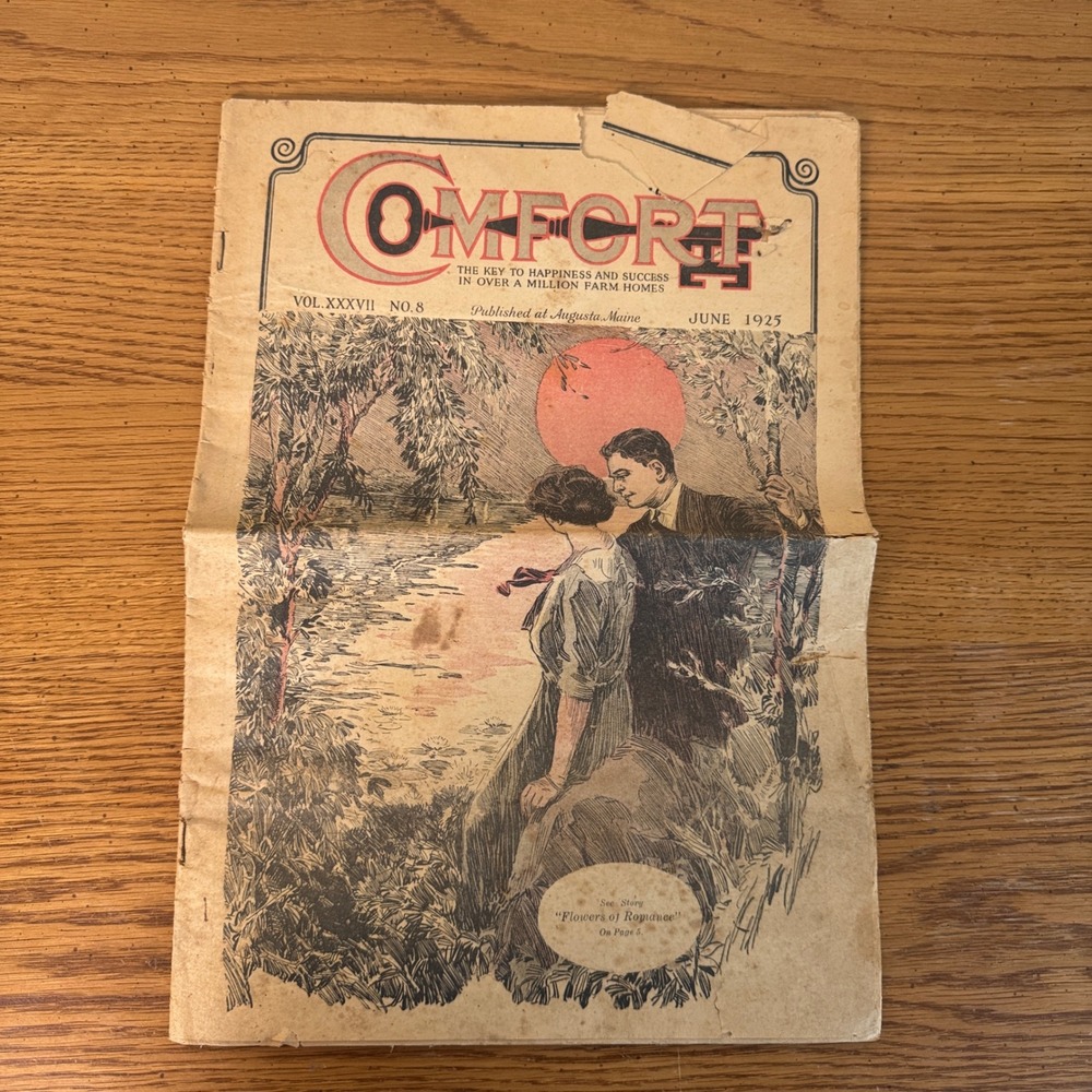 Vintage Comfort Magazine June 1925 Vol‎ XXXVII No 8 Augusta Maine Mail Order